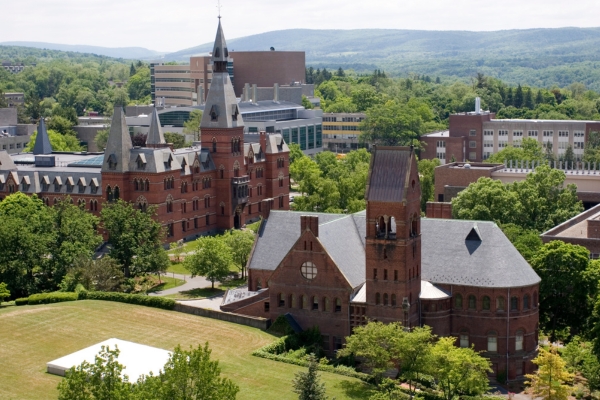 Trusted study abroad consultants – your dream university with Study Go Overseas